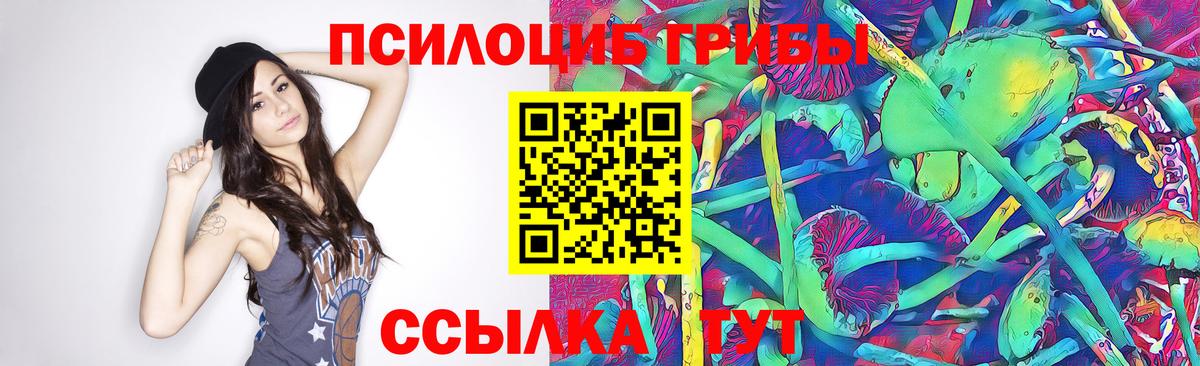 Галлюциногенные грибы мицелий Сальск