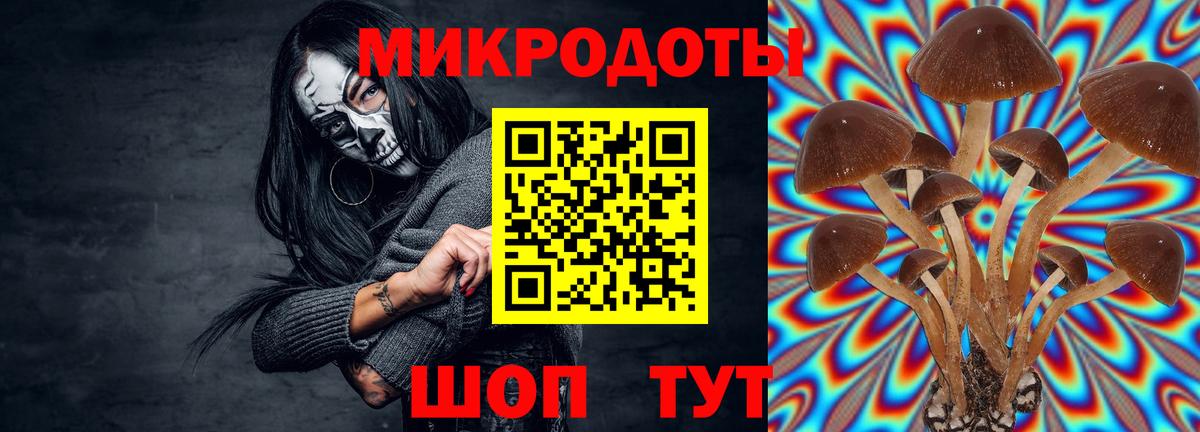Псилоцибиновые грибы ЛСД  Вход с VPN  Сальск 